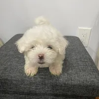 processed/f2c9f008-2734-412c-988a-17f5d0c97ee0/facility/99d5d2ca-14c2-4a80-96a9-ec505543816a