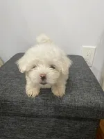 processed/f2c9f008-2734-412c-988a-17f5d0c97ee0/facility/99d5d2ca-14c2-4a80-96a9-ec505543816a