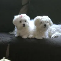 processed/f2c9f008-2734-412c-988a-17f5d0c97ee0/facility/ce4cd1c5-1ef4-444b-bf0b-36e69ae7c742