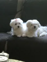 processed/f2c9f008-2734-412c-988a-17f5d0c97ee0/facility/ce4cd1c5-1ef4-444b-bf0b-36e69ae7c742