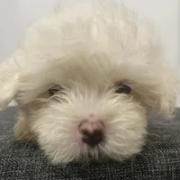 processed/f2c9f008-2734-412c-988a-17f5d0c97ee0/facility/f02a5fdf-ba1a-4d2e-8db6-795d369fd87c