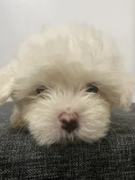 processed/f2c9f008-2734-412c-988a-17f5d0c97ee0/facility/f02a5fdf-ba1a-4d2e-8db6-795d369fd87c