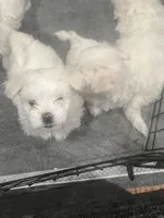 processed/f2c9f008-2734-412c-988a-17f5d0c97ee0/listing/3f535a65-4577-47e7-8331-1312e76074a5/c5b98f0f-18d1-46dd-bb0e-e3dd6da7181f