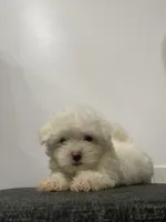 processed/f2c9f008-2734-412c-988a-17f5d0c97ee0/listing/3f535a65-4577-47e7-8331-1312e76074a5/efc8125c-e294-48ae-b4fe-bbc7753f5766