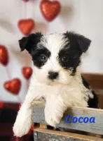 processed/f2d3f901-fcc4-475f-80d9-b23ff945da42/listing/bec97d8d-d705-438f-adaf-de41dd5b3c46/44c522ed-427f-47ad-a82d-4c9f375a46c9