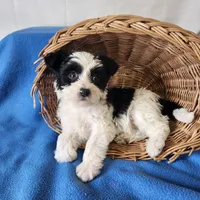 processed/f2d3f901-fcc4-475f-80d9-b23ff945da42/listing/bec97d8d-d705-438f-adaf-de41dd5b3c46/6d155fbc-efa2-40d2-a220-f64f3a293143