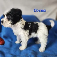 processed/f2d3f901-fcc4-475f-80d9-b23ff945da42/listing/bec97d8d-d705-438f-adaf-de41dd5b3c46/8e3f2932-e6d1-4bf8-81ca-b7005ec955eb