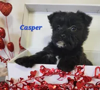 processed/f2d3f901-fcc4-475f-80d9-b23ff945da42/listing/c3e7b9d1-d4e8-4641-8eb5-e3a0af3451cf/6db3f14b-a7e9-4411-8105-79be244daa8b