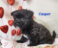 processed/f2d3f901-fcc4-475f-80d9-b23ff945da42/listing/c3e7b9d1-d4e8-4641-8eb5-e3a0af3451cf/6f9d73c2-db11-4ad3-9edd-a05fd3c64daa