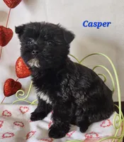 processed/f2d3f901-fcc4-475f-80d9-b23ff945da42/listing/c3e7b9d1-d4e8-4641-8eb5-e3a0af3451cf/88b38bbf-86e5-4620-9d66-e71bd1796687