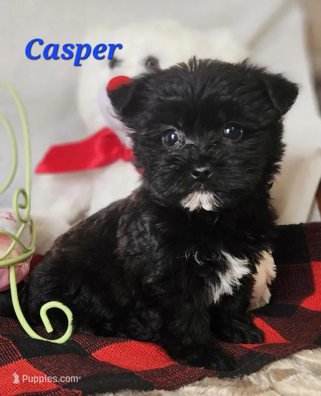 casper