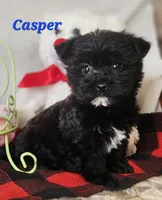 processed/f2d3f901-fcc4-475f-80d9-b23ff945da42/listing/c3e7b9d1-d4e8-4641-8eb5-e3a0af3451cf/d4de83a7-8901-4f17-a7c5-be58b9790c61