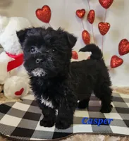 processed/f2d3f901-fcc4-475f-80d9-b23ff945da42/listing/c3e7b9d1-d4e8-4641-8eb5-e3a0af3451cf/de79fb10-bf72-4c2d-8b06-8c89296c7b66