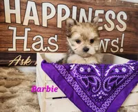 processed/f2d3f901-fcc4-475f-80d9-b23ff945da42/listing/d66cedd7-305c-4d86-8fcd-a913aadb7160/2b839f28-e6e4-42b2-8014-5ced4f227871