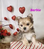 processed/f2d3f901-fcc4-475f-80d9-b23ff945da42/listing/d66cedd7-305c-4d86-8fcd-a913aadb7160/31b3533d-82c6-4108-bff1-12fd4a293dc7