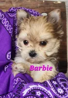 processed/f2d3f901-fcc4-475f-80d9-b23ff945da42/listing/d66cedd7-305c-4d86-8fcd-a913aadb7160/3353b19d-1ec8-4649-adfb-d668249dd280