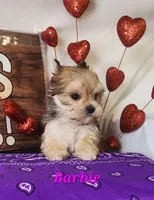 processed/f2d3f901-fcc4-475f-80d9-b23ff945da42/listing/d66cedd7-305c-4d86-8fcd-a913aadb7160/42c44363-99aa-4237-9b2c-0b0ac935e984