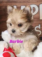 processed/f2d3f901-fcc4-475f-80d9-b23ff945da42/listing/d66cedd7-305c-4d86-8fcd-a913aadb7160/4fd7cd89-74e7-4849-b718-da687bc8f349