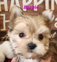 processed/f2d3f901-fcc4-475f-80d9-b23ff945da42/listing/d66cedd7-305c-4d86-8fcd-a913aadb7160/c4d93c17-2969-4756-aa7e-d36a899d7d26