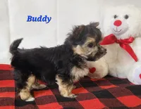 processed/f2d3f901-fcc4-475f-80d9-b23ff945da42/listing/e3102629-6a27-459d-accf-0c656db43e57/205b6332-c51f-439f-9401-a71756f5097d