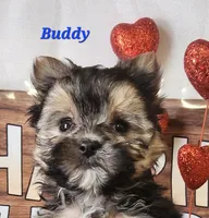 processed/f2d3f901-fcc4-475f-80d9-b23ff945da42/listing/e3102629-6a27-459d-accf-0c656db43e57/3d30507c-8b8c-42ea-bd02-94601d1e9f83