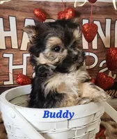 processed/f2d3f901-fcc4-475f-80d9-b23ff945da42/listing/e3102629-6a27-459d-accf-0c656db43e57/3dece2e7-e1a3-411b-af1c-e8ffd3e80be6