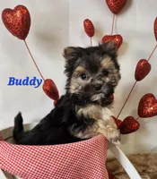 processed/f2d3f901-fcc4-475f-80d9-b23ff945da42/listing/e3102629-6a27-459d-accf-0c656db43e57/5f4a6929-d75f-44a6-94fa-3f7bce8fb805