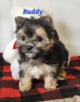 processed/f2d3f901-fcc4-475f-80d9-b23ff945da42/listing/e3102629-6a27-459d-accf-0c656db43e57/7e2a3029-b6df-46ea-b48e-f94677aa35ac