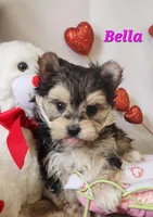 processed/f2d3f901-fcc4-475f-80d9-b23ff945da42/listing/edb08826-2581-4432-a98f-ffce3eb71eb5/3b694a94-6f52-4693-9029-c661efd6db34