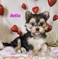 processed/f2d3f901-fcc4-475f-80d9-b23ff945da42/listing/edb08826-2581-4432-a98f-ffce3eb71eb5/50f804d1-b22a-4447-9aaa-3154f6c86622