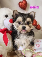 processed/f2d3f901-fcc4-475f-80d9-b23ff945da42/listing/edb08826-2581-4432-a98f-ffce3eb71eb5/7fb67813-4542-4d74-8802-7bf69844bcec