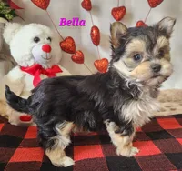 processed/f2d3f901-fcc4-475f-80d9-b23ff945da42/listing/edb08826-2581-4432-a98f-ffce3eb71eb5/8323ec48-b466-4172-8aa8-02e3b07095dc