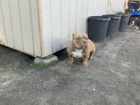 processed/f2dd2047-02ed-4ccb-ac43-83b4cfde3b44/listing/35b7ccf4-eb0b-4945-b2f6-c68dd69d4d6a/16312195-3a5e-4a4f-b896-77ebcff2d169