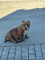 processed/f2dd2047-02ed-4ccb-ac43-83b4cfde3b44/listing/35b7ccf4-eb0b-4945-b2f6-c68dd69d4d6a/2204479d-a2f5-4fe7-8834-373cede5c749