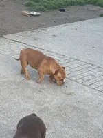 processed/f2dd2047-02ed-4ccb-ac43-83b4cfde3b44/listing/35b7ccf4-eb0b-4945-b2f6-c68dd69d4d6a/6bb8372e-960c-4665-a9a5-6650629c5f9e