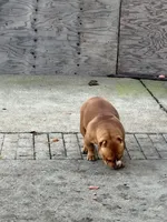 processed/f2dd2047-02ed-4ccb-ac43-83b4cfde3b44/listing/35b7ccf4-eb0b-4945-b2f6-c68dd69d4d6a/82f8f2fd-a3f8-4f45-9215-be959069ab16