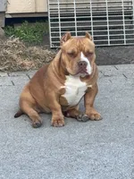 processed/f2dd2047-02ed-4ccb-ac43-83b4cfde3b44/listing/35b7ccf4-eb0b-4945-b2f6-c68dd69d4d6a/a38b6aa6-26d3-499c-8368-71b2d93f6498