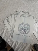 Jack, a male American Bully for sale in American Canyon, CA – Photo 7 of 9