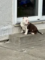 processed/f2dd2047-02ed-4ccb-ac43-83b4cfde3b44/listing/ba53438f-f0ec-46ba-b15a-78bb5c74b306/04fca758-7239-4ef9-bc57-5655e961b2cf