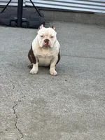 processed/f2dd2047-02ed-4ccb-ac43-83b4cfde3b44/listing/ba53438f-f0ec-46ba-b15a-78bb5c74b306/fa604cf0-ec1e-4fe8-950a-4d0bd7dd877f