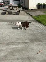 processed/f2dd2047-02ed-4ccb-ac43-83b4cfde3b44/listing/ba53438f-f0ec-46ba-b15a-78bb5c74b306/ffd7bfa6-a057-48c7-a4d0-ffffab88773a