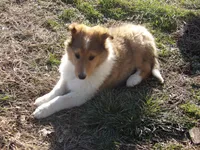 processed/f2ec3712-4dd3-4038-9b28-023cb9e060a9/listing/9c76a2f3-6148-4384-843c-7d5b757b2ea5/03f1d022-7457-4739-a68f-867a8b462be3