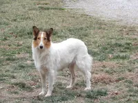 processed/f2ec3712-4dd3-4038-9b28-023cb9e060a9/listing/9c76a2f3-6148-4384-843c-7d5b757b2ea5/daa17623-19f4-4c5f-b275-3a61be36180a