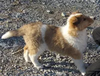 processed/f2ec3712-4dd3-4038-9b28-023cb9e060a9/listing/e0ffd0fa-f542-44fb-b080-453331ef9620/56f1d530-d6a7-43af-b085-b68f7a00f7f1