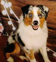 processed/f2fa927d-1507-4630-a053-674ba21d4c0f/facility/6c3ed24c-a6e6-4699-b89f-be1e7471fcc1