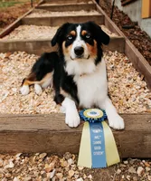 processed/f2fa927d-1507-4630-a053-674ba21d4c0f/facility/c954a24d-54d3-4592-9314-9788391a4731