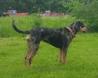 processed/f2ff6dde-985f-4758-8a7d-9dbb22519389/facility/75f23db7-bb34-4564-99a7-972be34c0537