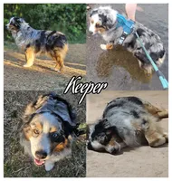 processed/f3000b3f-4888-4c3d-9e7a-1bedfd9de46c/facility/3e3a4500-33b0-4a10-9f7c-481b35cba806