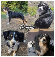 processed/f3000b3f-4888-4c3d-9e7a-1bedfd9de46c/facility/8d6d22f6-4210-4a27-88d1-eee15473ac6f