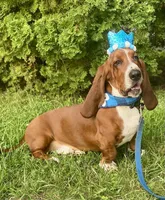 processed/f301f6b8-f44a-42fc-bf01-696184bc5be9/facility/0f93a97e-bb3e-4225-a7c2-993a622fcb7c